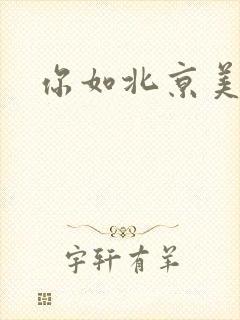 你如北京美丽