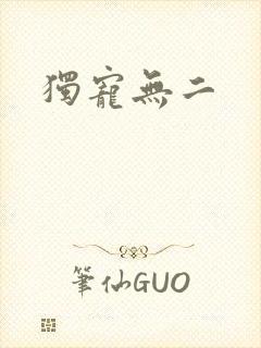 独宠无二封面
