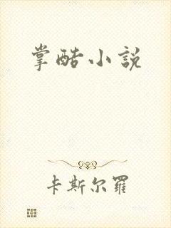 掌酷小说