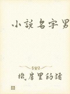 小说名字男生