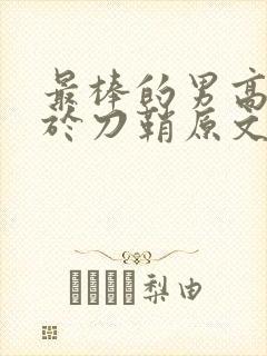 最棒的男高中生于刀鞘原文阅读封面