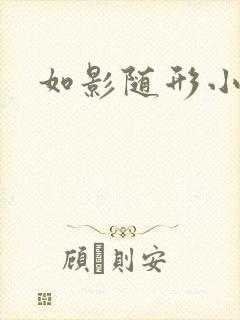 如影随形小说