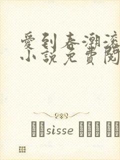 爱到春潮滚滚来小说免费阅读封面