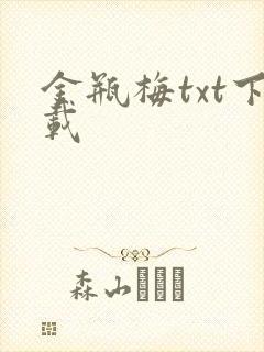 金瓶梅txt下载