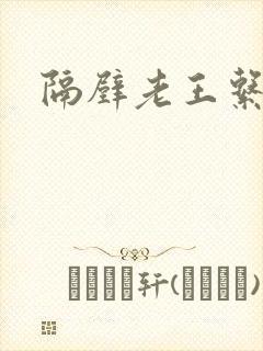 隔壁老王系统