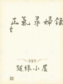 正气寻妇录txt