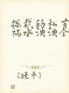 总裁的私有宝贝祸水泱泱全文阅读