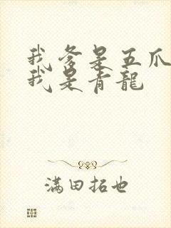 我爹是五爪金龙我是青龙封面