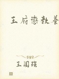 王府惩教养日常