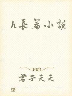 h长篇小说封面