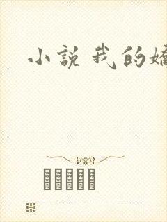 小说 我的娇妻