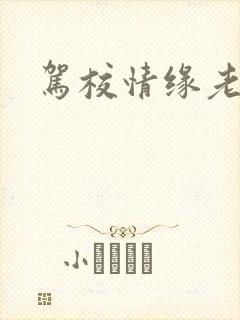 驾校情缘老赵