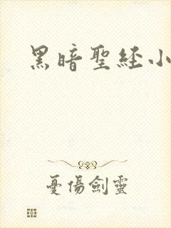 黑暗圣经小说