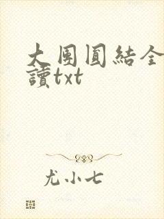 大团圆结全文阅读txt