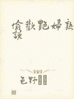 偷欢艳妇熟女小说封面