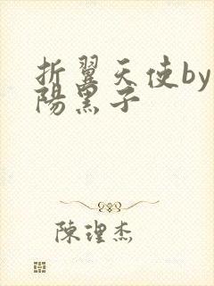 折翼天使by太阳黑子封面