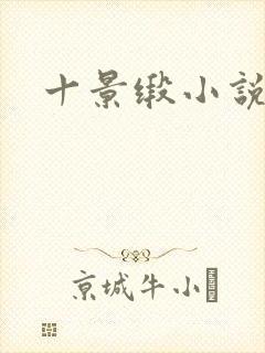 十景缎小说