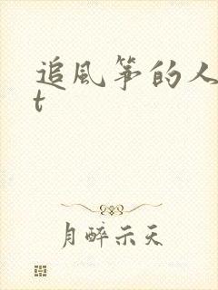 追风筝的人txt