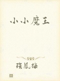 小小魔王封面