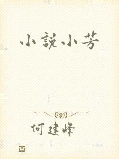 小说小芳