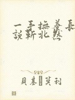 一手抚养长大小说靳北然封面