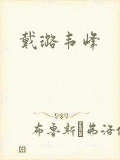 戴璐韦峰封面
