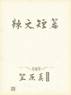 辣文短篇