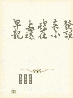 早上醒来发现巨龙还在小说