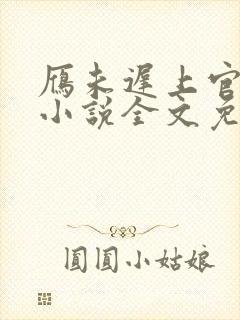 雁未迟上官穿越小说全文免费阅读