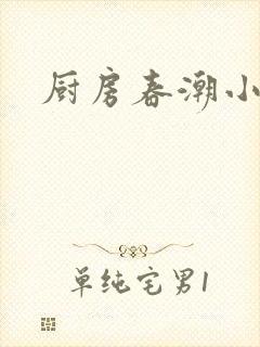 厨房春潮小说