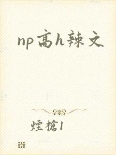 np高h辣文封面