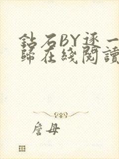 钻石BY逐一而归在线阅读