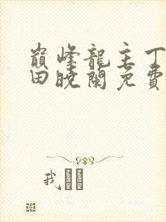 巅峰龙主丁长顺田晓兰免费阅读封面