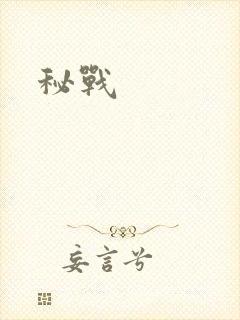 秘战封面