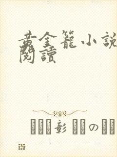 黄金笼小说免费阅读