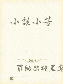 小说小芳