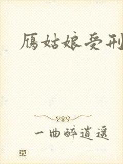 雁姑娘受刑记封面