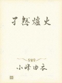 孑然炉火