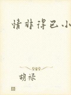 情非得已小说