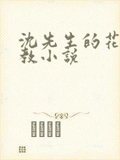 沈先生的花式调教小说封面