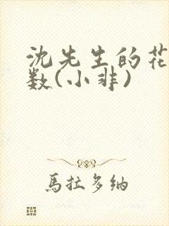 沈先生的花式调数(小非)