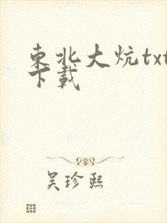 东北大炕txt下载封面