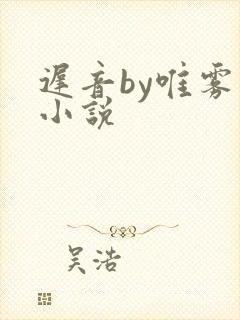 迟音by唯雾的小说封面