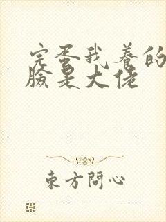 完蛋我养的小白脸是大佬封面
