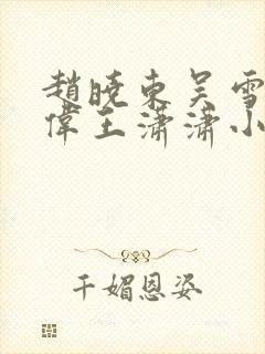 赵晓东吴雪晴郑伟王潇潇小说名字