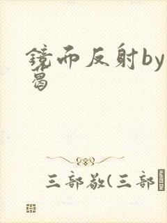 镜面反射by九葛