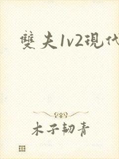 双夫1v2现代