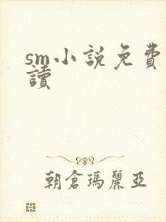 sm小说免费阅读