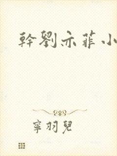 干刘亦菲小说