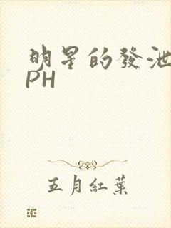 明星的发泄室NPH封面